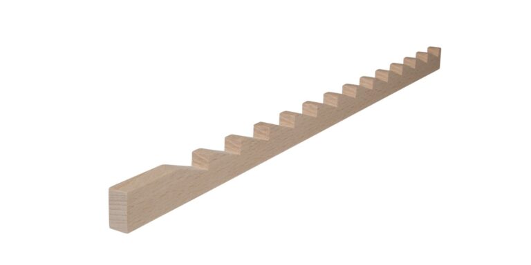 Zahnleiste Buche (Bild 2)